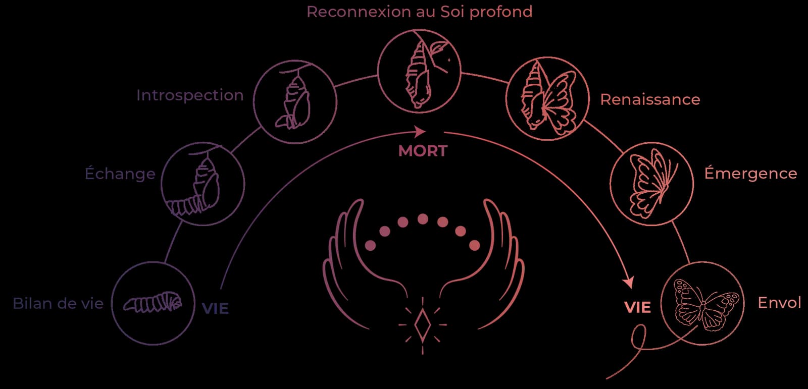 Chenille symbole de métamorphose et renaissance intérieure